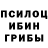 Галлюциногенные грибы GOLDEN TEACHER Kate Olenyk