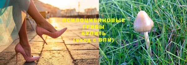 дурь Абдулино