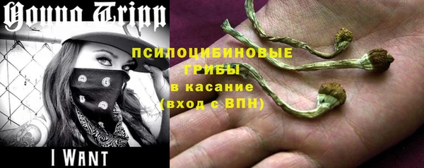 дурь Абдулино